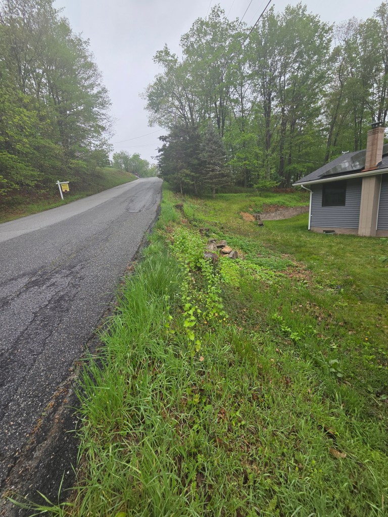 Roadside drainage area before driveway regrading by CP Clark LLC, Sussex County, NJ