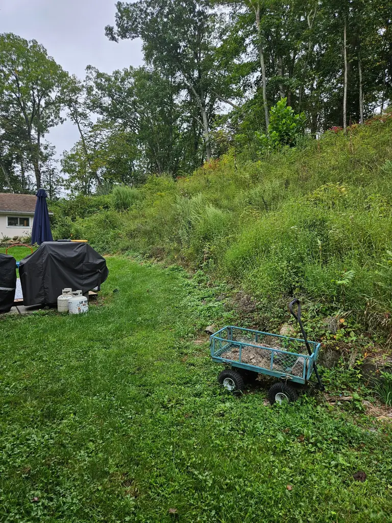 Before: overgrown, eroding slope beside a yard ahead of regrading and drainage work in Sussex County NJ