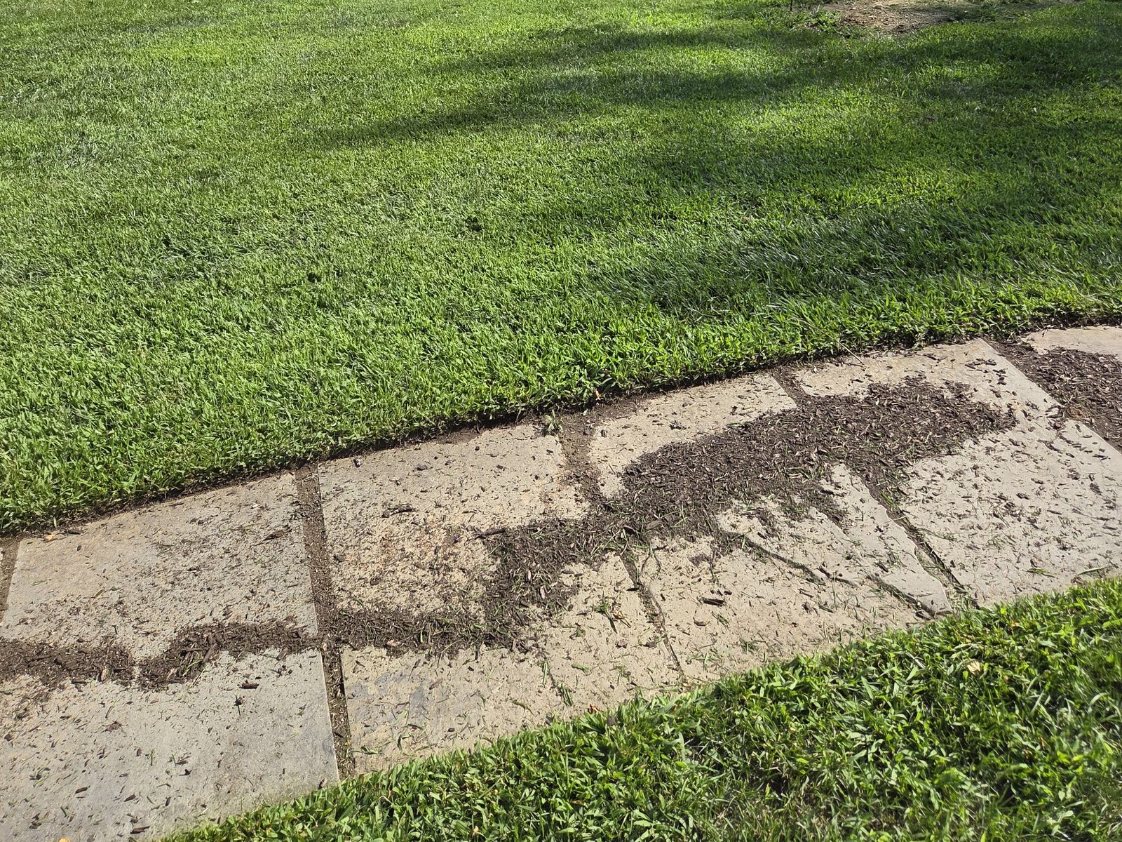 Runoff carrying soil across a walkway in a Sussex County, NJ yard